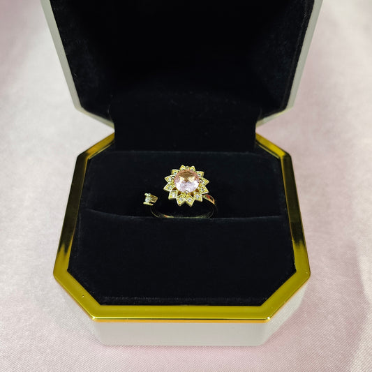 Lost Princess Sparkle